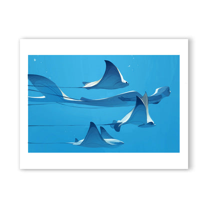 Stingrays