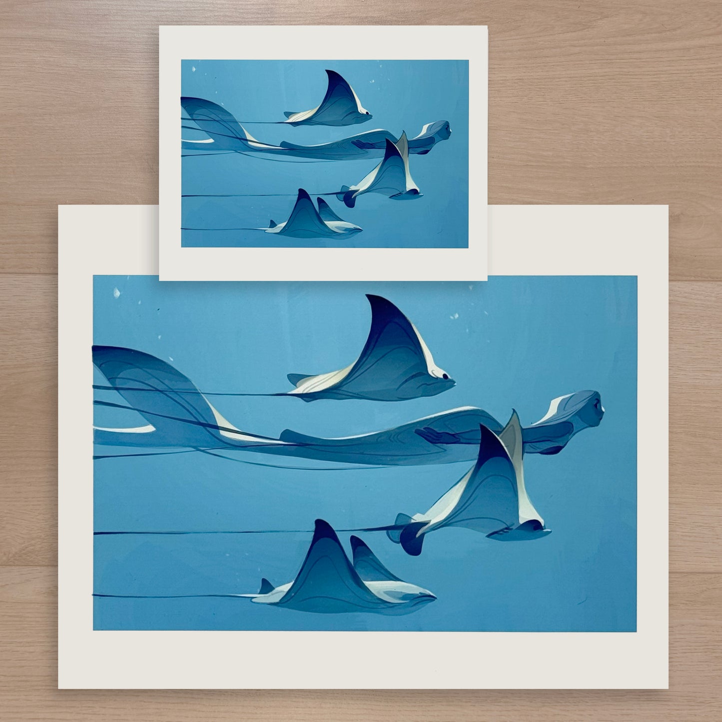 Stingrays