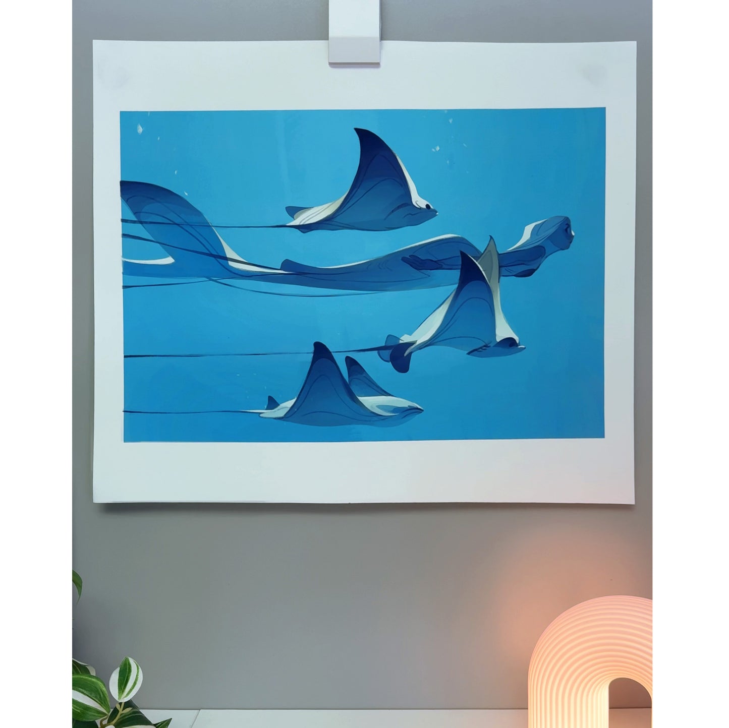 Stingrays
